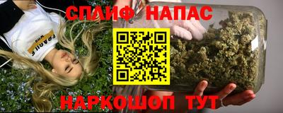 СК Будённовск