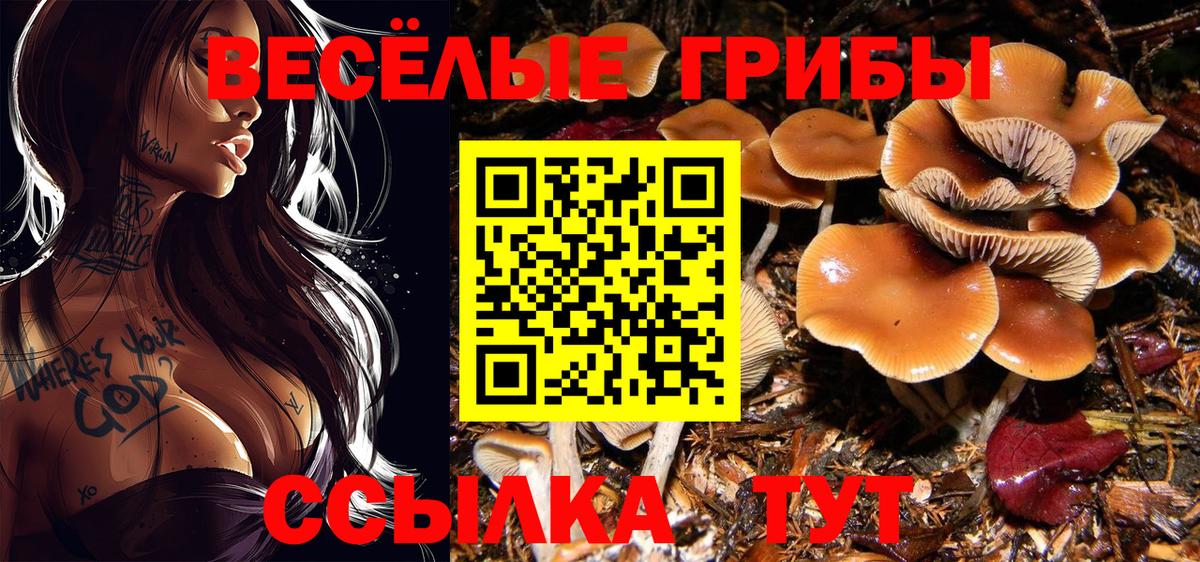 Галлюциногенные грибы мицелий  Вход с VPN  дарнет шоп  Балаково 